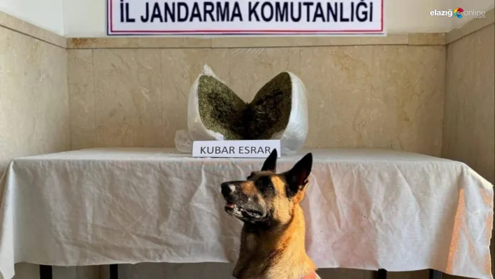 Narkotik köpeği Zıh'ın tepkisiyle ortaya çıktı