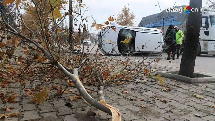 Yol kenarındaki ağaca çarpan otomobil yan yattı