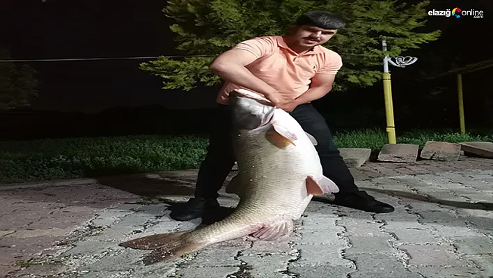 Elazığ Palu'da Sürpriz Av! Dev Turna Balığı Görenleri Hayrete Düşürdü!