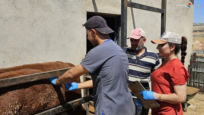 Elazığ Tarım Müdürlüğü Karakoçan'da Numune ve Kontrol Çalışması Başlattı!