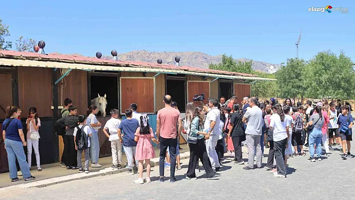 Elazığ'da Çocuklara Özel Yaz Okulu Gezisi: Tarih ve Eğlence Bir Arada!