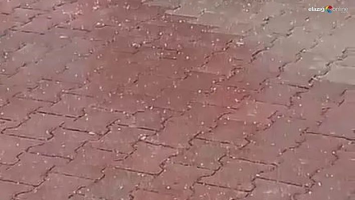 Baskil'de dolu yağışı etkili oldu