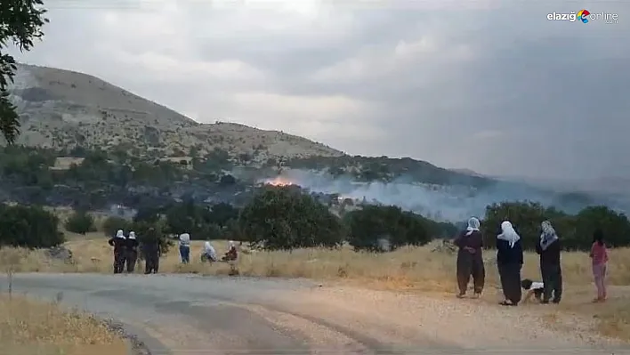 Ağın'da yıldırım düşmesiyle çıkan yangın kontrol altına alındı