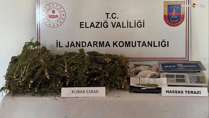 Elazığ'da Uyuşturucu Operasyonu: Jandarmadan 3 Kiloluk Esrar Baskını