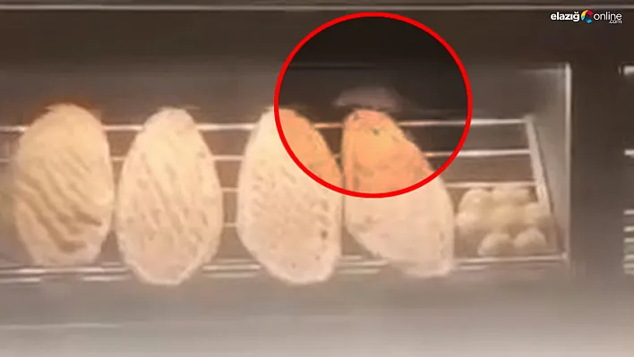 Elazığ'da Fare Görüntülenen Ekmek Fırınına 105 Bin TL Ceza!