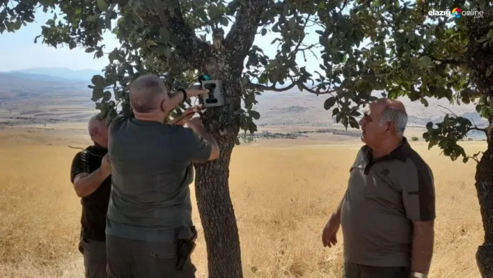 Elazığ'da Yaban Hayatı Koruma Altında: Fotokapanlar Kaçak Avcıların Peşinde