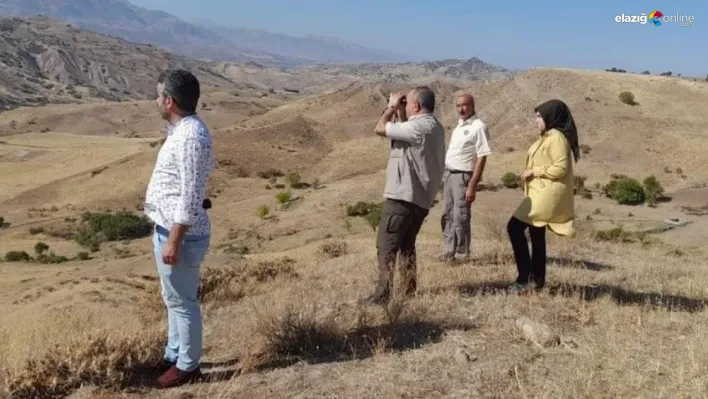 Kaçak avcıların oyununu Elazığ Doğa Koruma ekipleri bozdu!