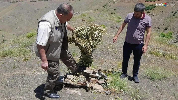 Elazığ'da kaçak avcılığın önlenmesi için denetimler sürüyor