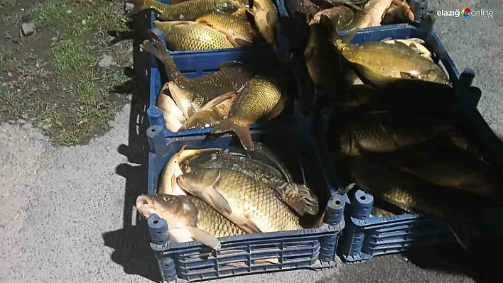 Elazığ'da Kaçak Balık Operasyonu: 210 Kilo Balığa Jandarma El Koydu!