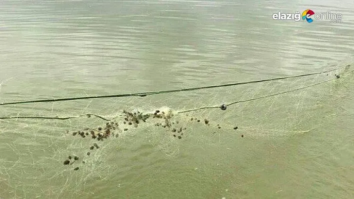 Elazığ'da kaçak balık avı ile mücadele