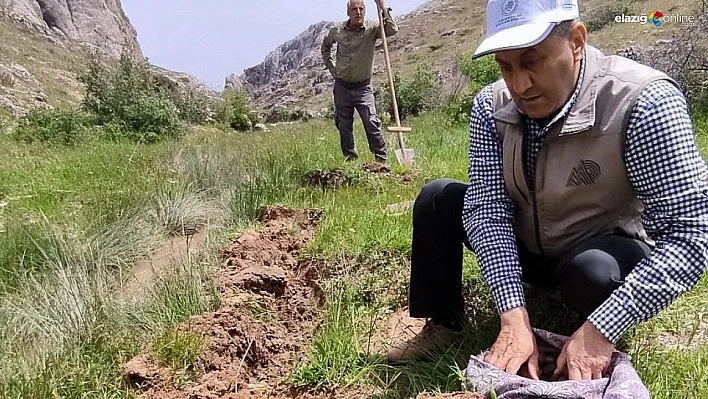 Elazığ'da kaçak salep toplayıcılarına rekor ceza!