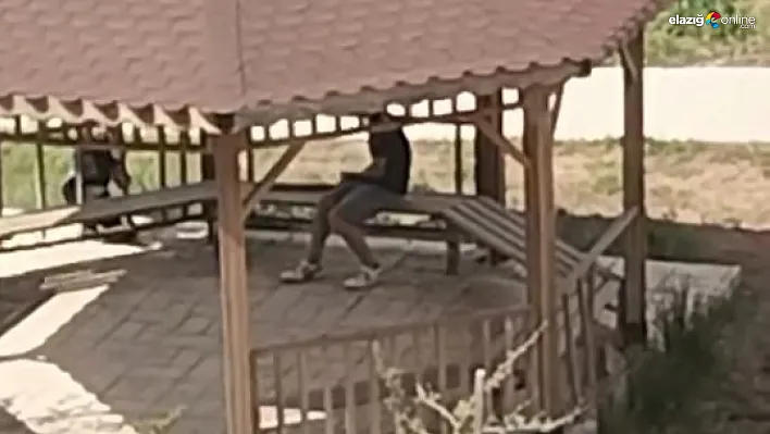 Elazığ Yemişlik'te Kamu Malına Saldırı: O Anlar Anbean Görüntülendi!