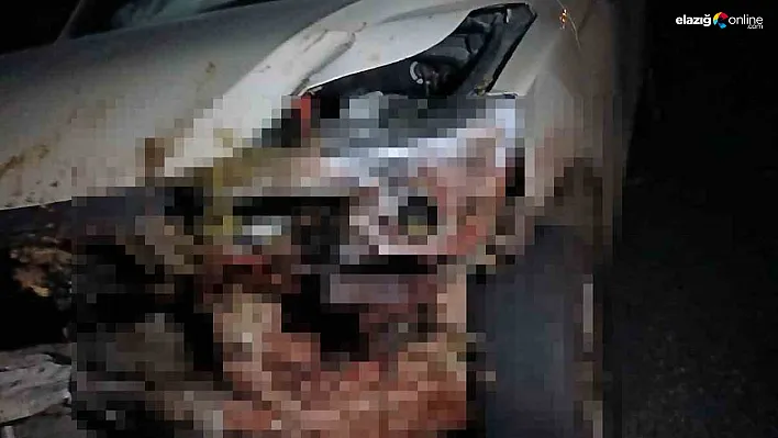 Yoldan Geçen Sürüye Kamyonet Çarptı: 30 Hayvan Telef Oldu!