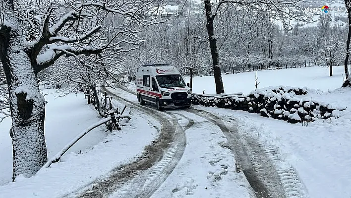 Yeşilbelen Köyünde Zorlu Anlar: Sağlık Ekipleri Zamanla Yarıştı!