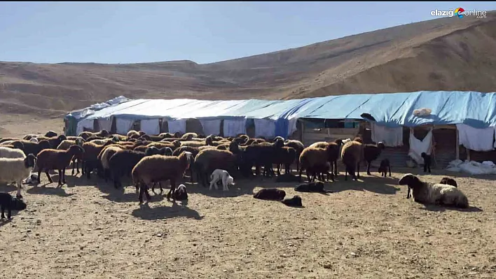 Karantina Altındaki İlçelerde Ekiplerin Çalışmaları Sürüyor!