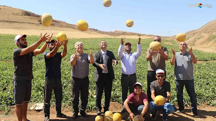 Kavun hasadı çiftçinin yüzünü güldürdü