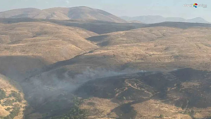Karakoçan'da Tekrar Başlayan Yangın Kontrol Altına Alındı!