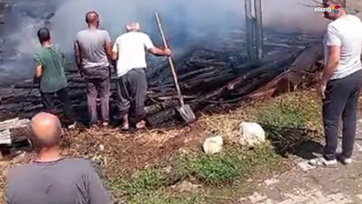 Elazığ'da kış hazırlığı kabusa döndü: Toplanan odunlar yangında küle döndü!