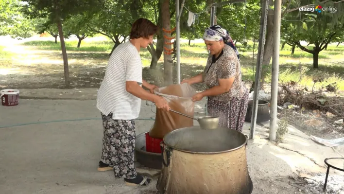 Elazığ'da kışa hazırlıkları: Kuru dut pekmezi yapımı başladı