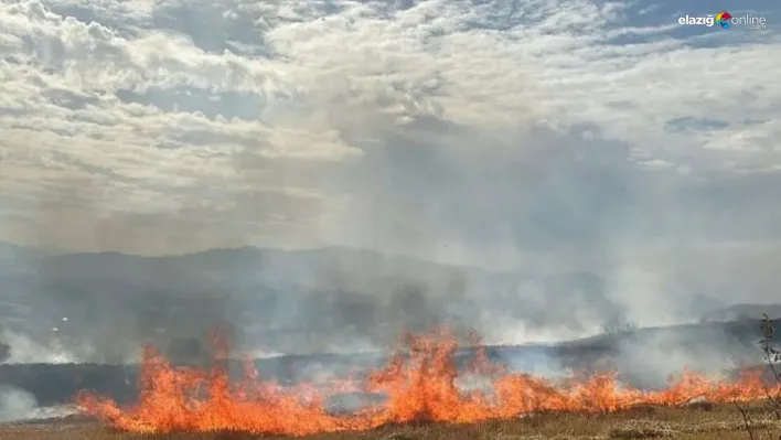 Elazığ'da anız yangını korkuttu!