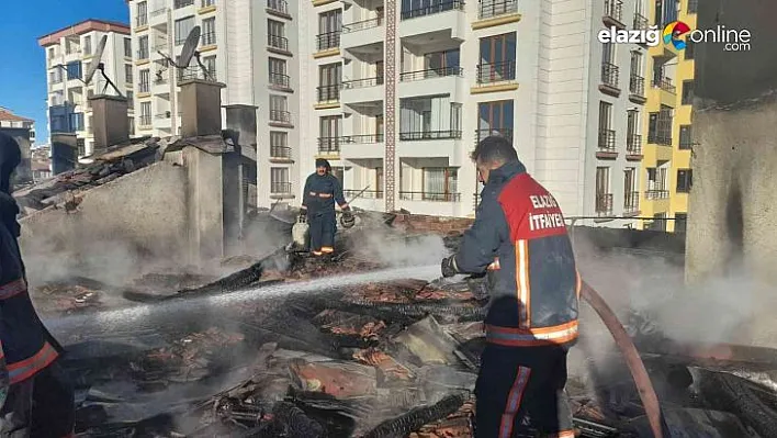 Elazığ'da alevler geceyi gündüze çevirdi