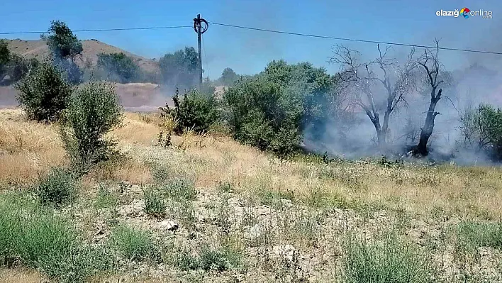 Keban'da Yangın Paniği: Onlarca Dönüm Alan Kül Oldu!