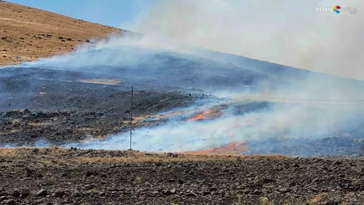 Elazığ'da korkutan yangın