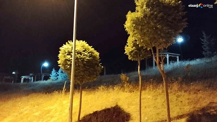 Elazığ'da Geceyi Kuvvetli Rüzgar Sardı!