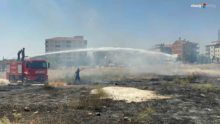 Elazığ'da ot yangını paniğe yol açtı!