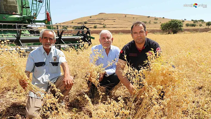 Elazığ'da nohut hasadı gerçekleştirildi