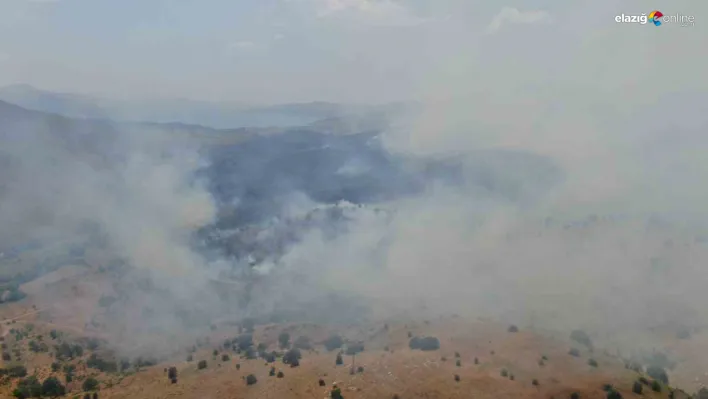 Elazığ'da orman yangını! Müdahale sürüyor