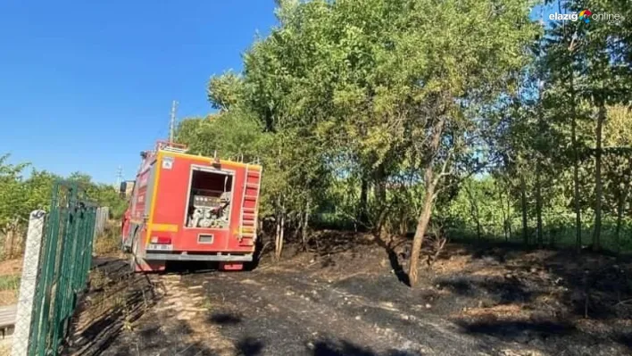 Elazığ'da çıkan yangın hızla söndürüldü: Çok sayıda ağaç zarar gördü