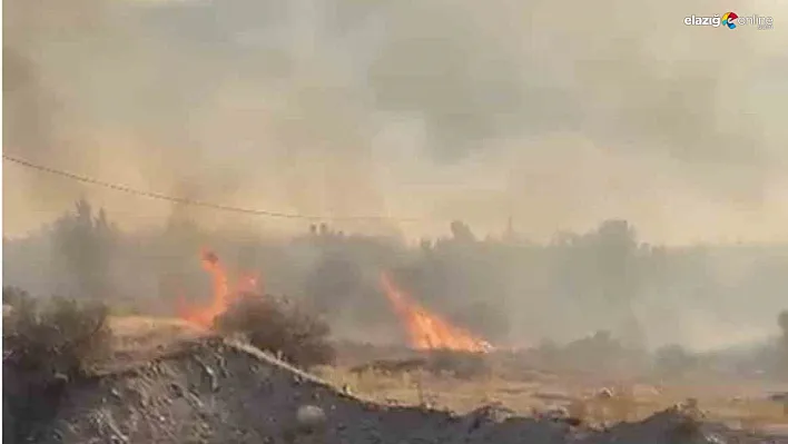Elazığ Sakabaşı Köyü'nde Örtü Yangını Korkuttu!