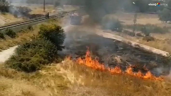 Kurumuş otların bulunduğu alanda yangın!