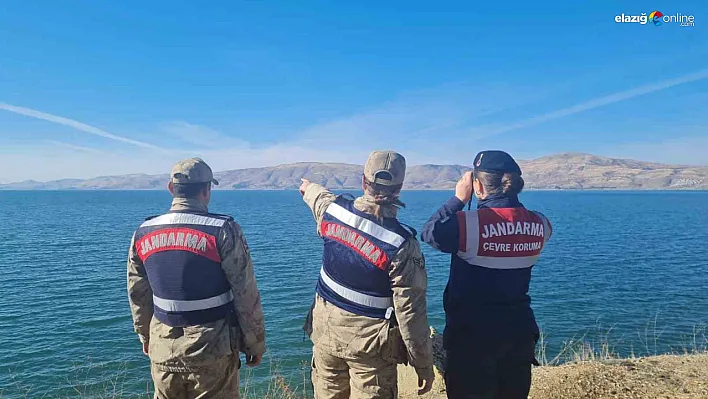 Elazığ'da Jandarma Ekipleri Yangına Anında Müdahale Etti!