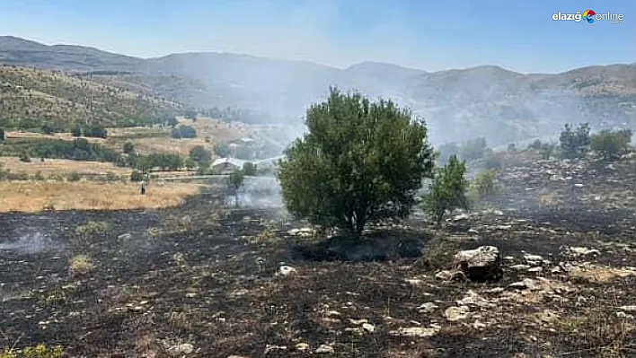 Elazığ Sivrice'de Otluk Alanda Yangın! Ekipler Zamanla Yarıştı