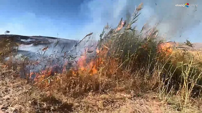 Kovancılar'da Otluk Alanda Korkutan Yangın! İtfaiye Ekipleri Seferber Oldu!