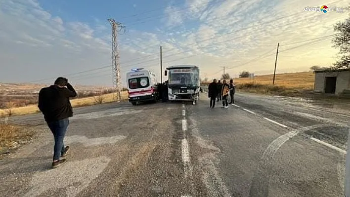 Elazığ'da Köpeğe Çarpmamak İçin Manevra Yapan Kamyonet Kaza Yaptı!