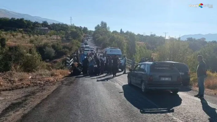 Baskil'de piknik etkinliği faciaya döndü! 3'ü ağır 14 yaralı