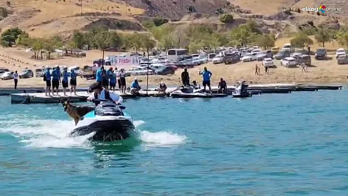 Elazığ Keban'da Bella İsimli Köpeğin Jet Ski Keyfi Festivale Damga Vurdu!