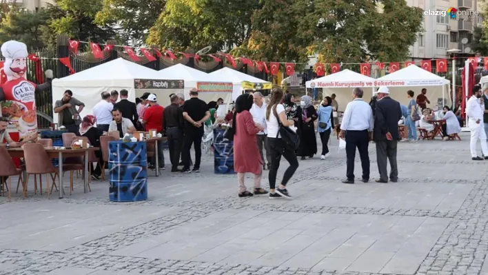 Elazığ'da Salçalı Köfte Festivali başlıyor! Ünlü sanatçılar ve lezzet dolu etkinlikler