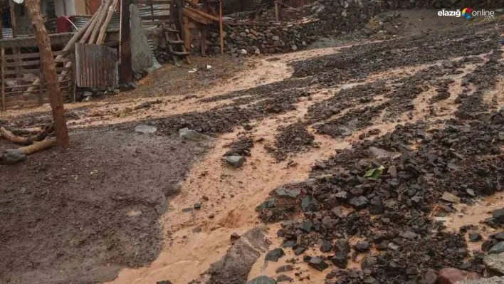 Şiddetli yağış Palu'da sele yol açtı! Elazığ İl Özel İdaresi ekipleri sahada