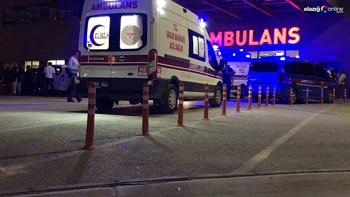 Elazığ'da Yaz Pikniği Kabusa Döndü! Baraj Gölünde Acı Son!