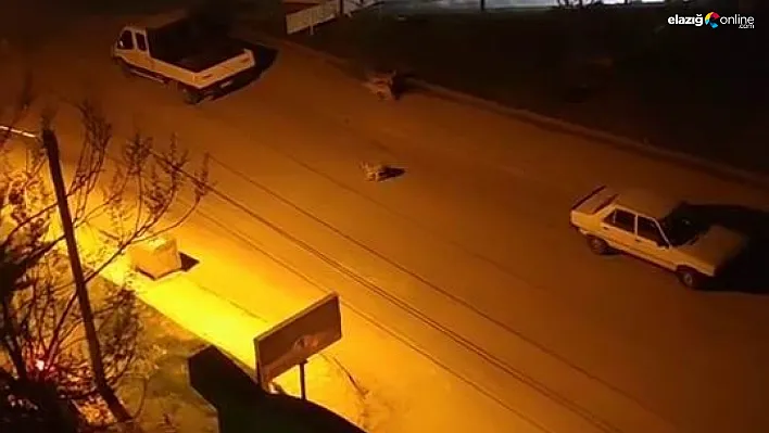 Elazığ'da Başıboş Köpek Dehşeti! Küçük Çocuğun Kaçış Anları Kamerada!