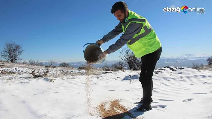 Elazığ Belediyesi sokak ve yaban hayvanlarını unutmadı