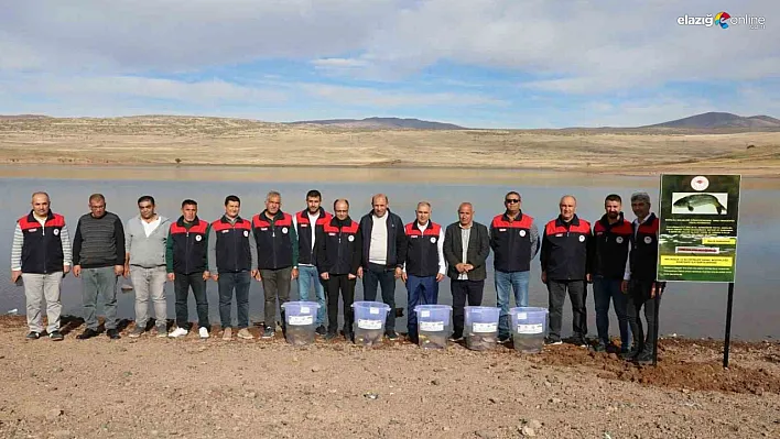 Elazığ'da Doğal Yaşama Destek: 11 Bin 800 Sazan Yavrusu Suyla Buluştu!