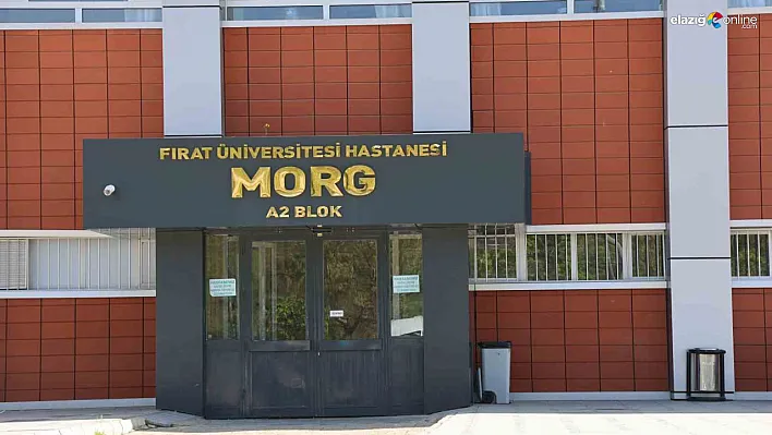 Elazığ'da Araç İçinde Kanlı Hesaplaşma: Taksici Amcaoğlu Tarafından Katledildi!