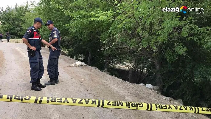 Elazığ'da tarla sulama kavgası: 5 yaralı