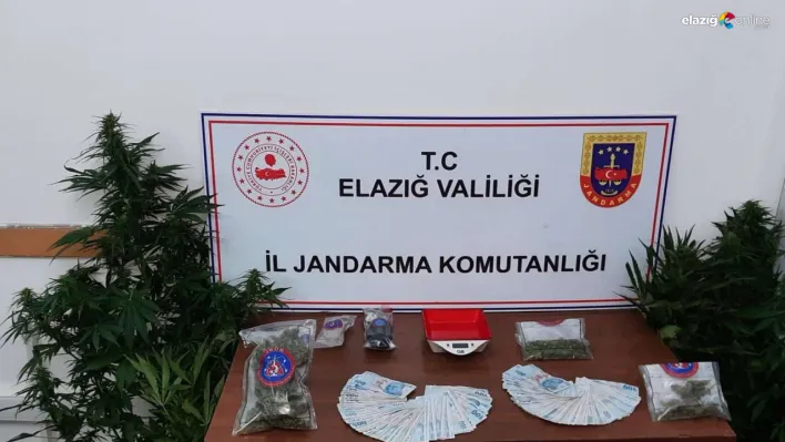 Elazığ jandarmasından uyuşturucuya geçit yok!