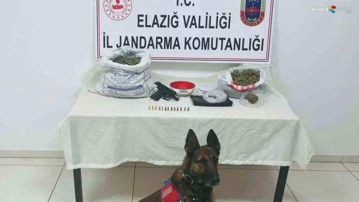 Elazığ jandarmasından operasyon üstüne operasyon!